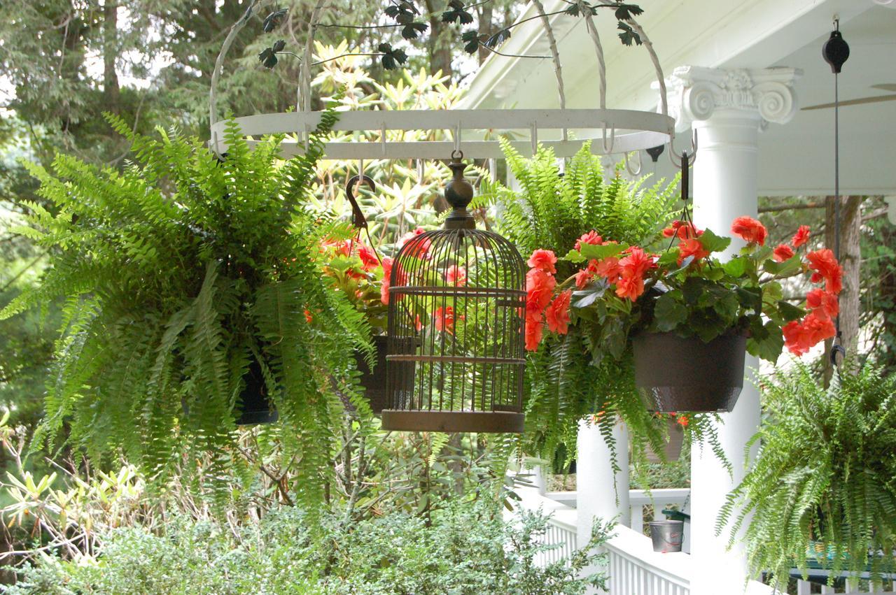 Mountain Laurel Inn Damascus 外观 照片